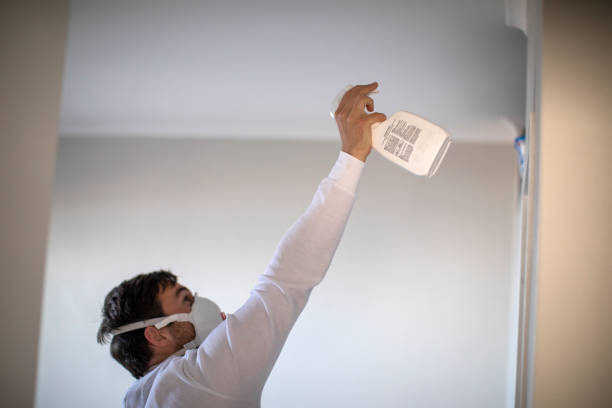 Best Professional Mold Removal  in Urbancrest, OH