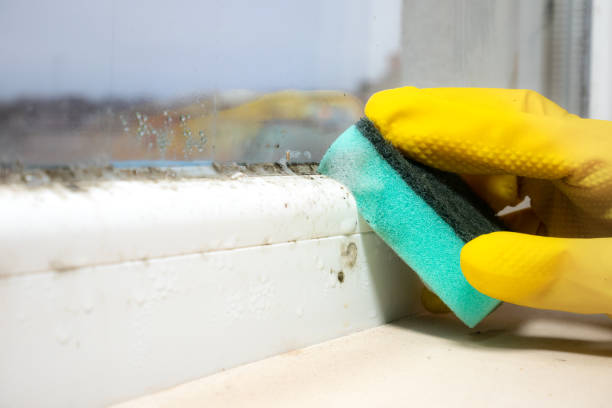 Best Mold Removal Process  in Urbancrest, OH