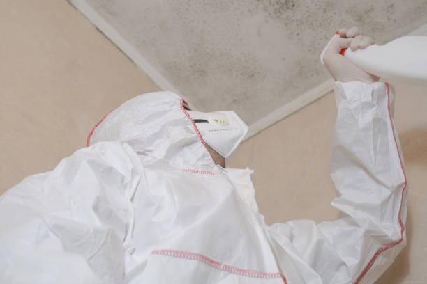 Professional Mold Removal in Urbancrest, OH